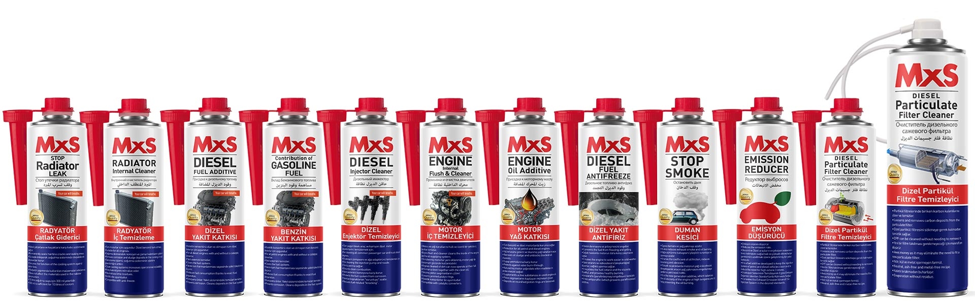 MxS